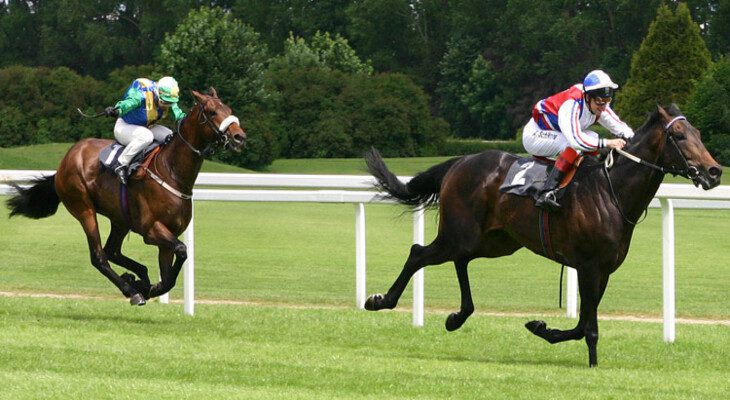 Diferenças e Conexões entre Opções Binárias e Forex 20 Qual é Investimento é Melhor Forex ou Opções Binárias