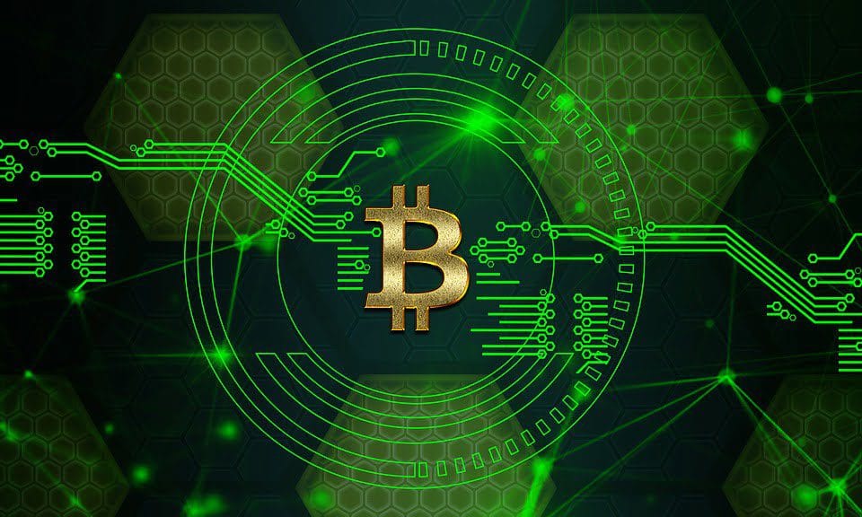 Bitcoin  Cash (BCH)