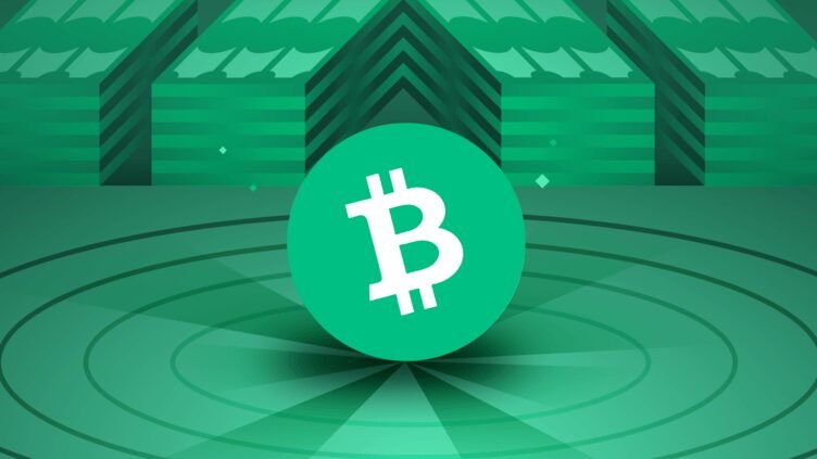 O que é a Criptomoeda Bitcoin Cash (BCH)?