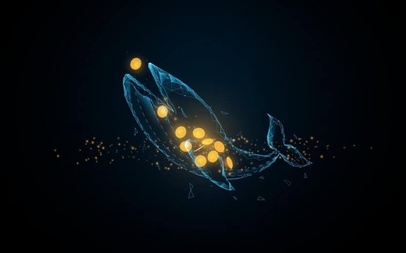 Mercado de Criptomoedas em Tempo Real 4 Mercado de Criptomoedas em Tempo Real