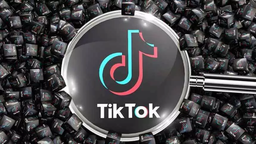 Como Ganhar Dinheiro no Tiktok - Um Guia Completo