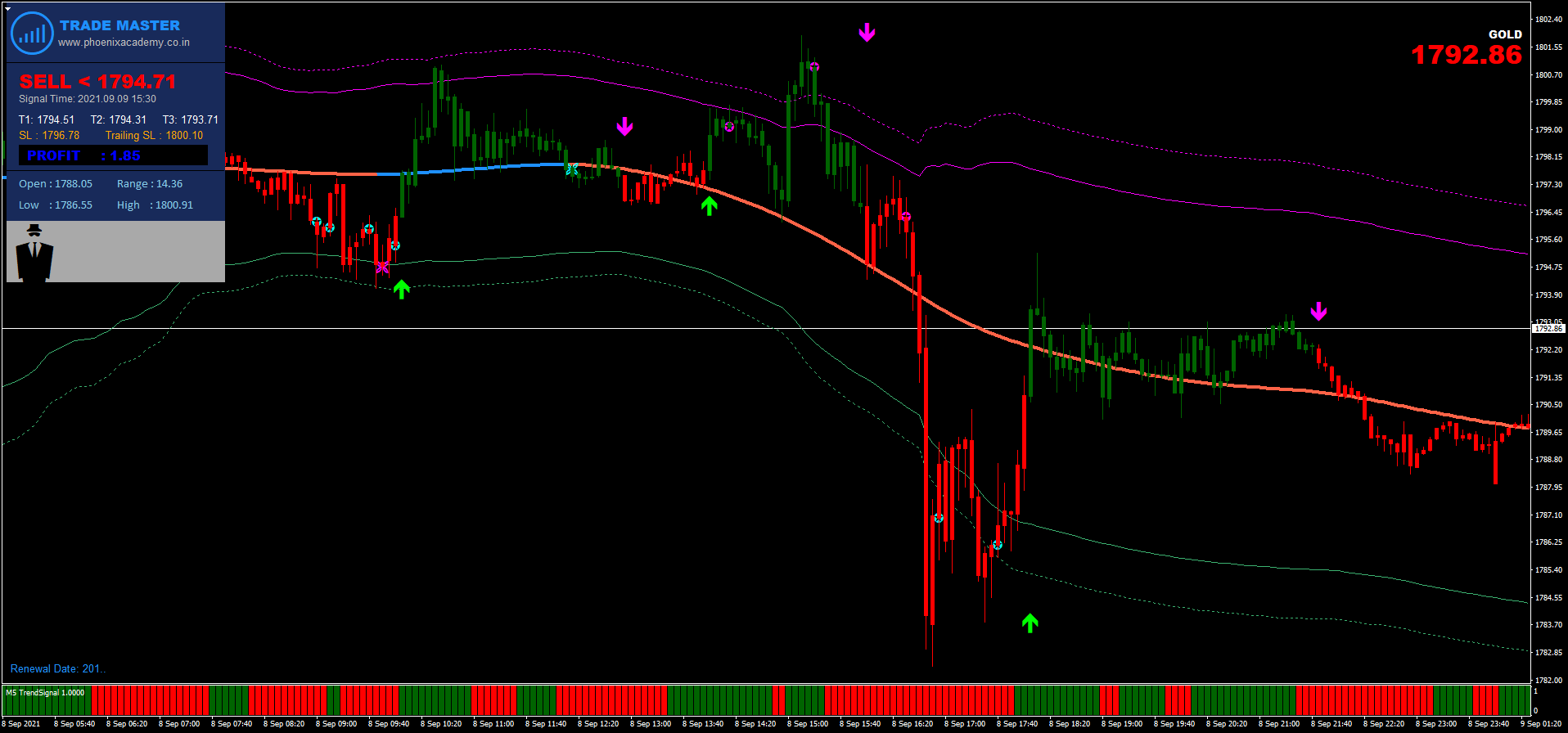 Estratégia Forex com Sinais Precisos: Maximize Seus Resultados 8 Estratégia Forex com Sinais Precisos: Maximize Seus Resultados