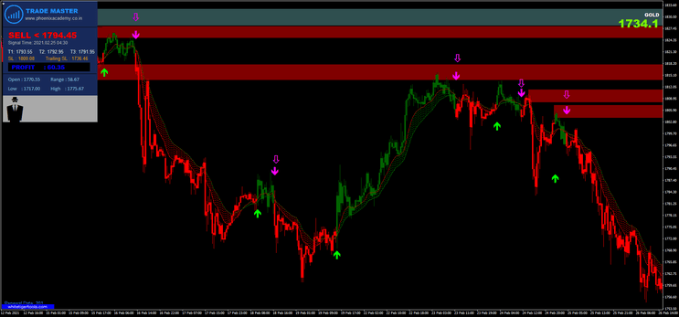 4 Estratégia Trade Master com Supply Demand: Seguindo a Tendência com Ação de Preço
