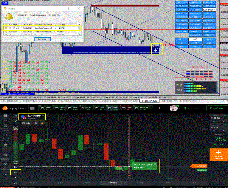 Estratégia IQ Option e Exnova: 1-5 Minutos