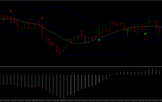 Mosca Arrow: Um Guia Abrangente para Negociação com Opções Binárias